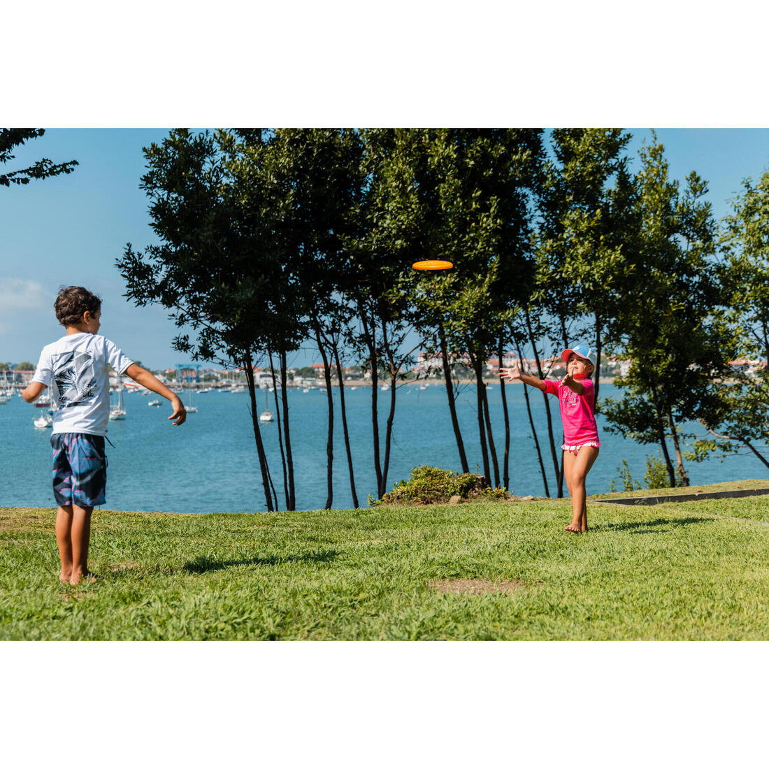 Flying Disc - Pink Flag - Image 37