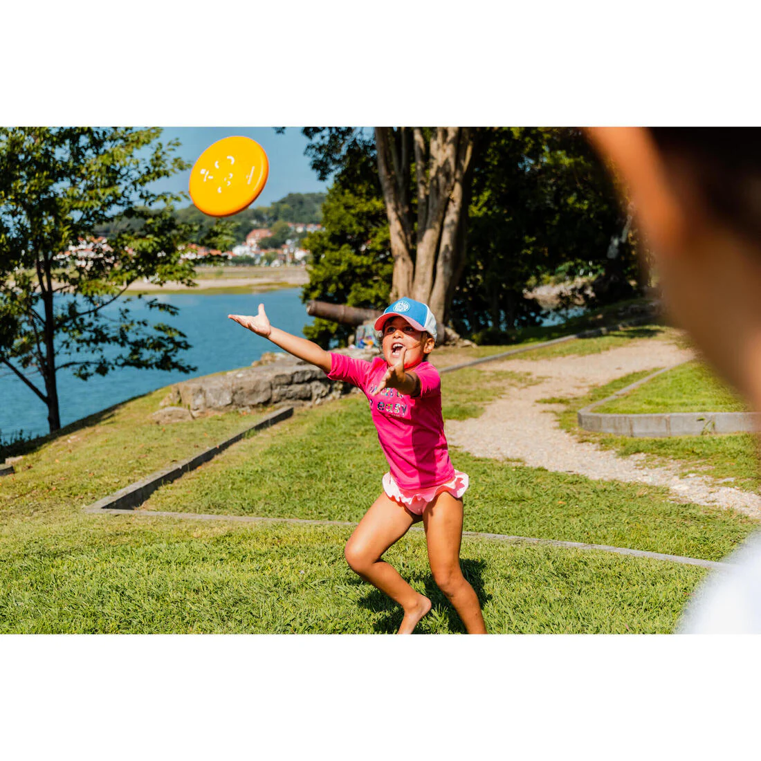 Flying Disc - Pink Flag - Image 41