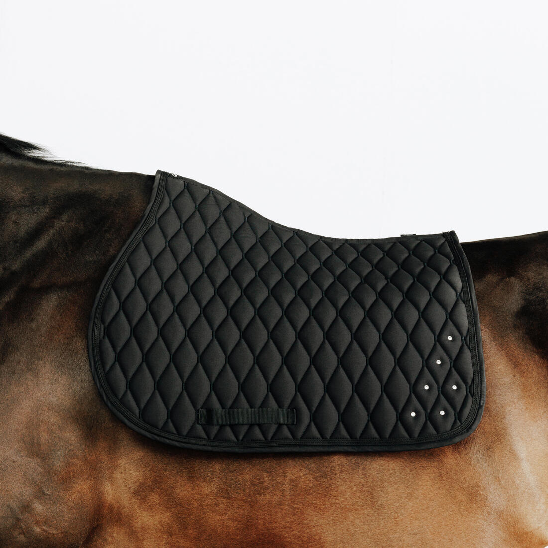 Horse Riding Rhinestone Saddle Cloth for Horse and Pony 500 - Black