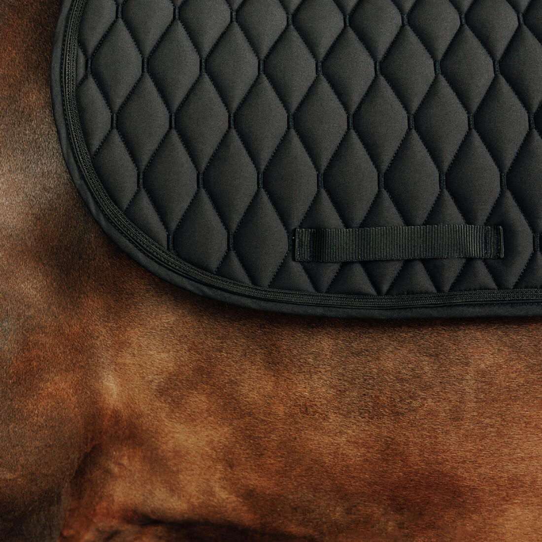 Horse Riding Rhinestone Saddle Cloth for Horse and Pony 500 - Black - Image 2