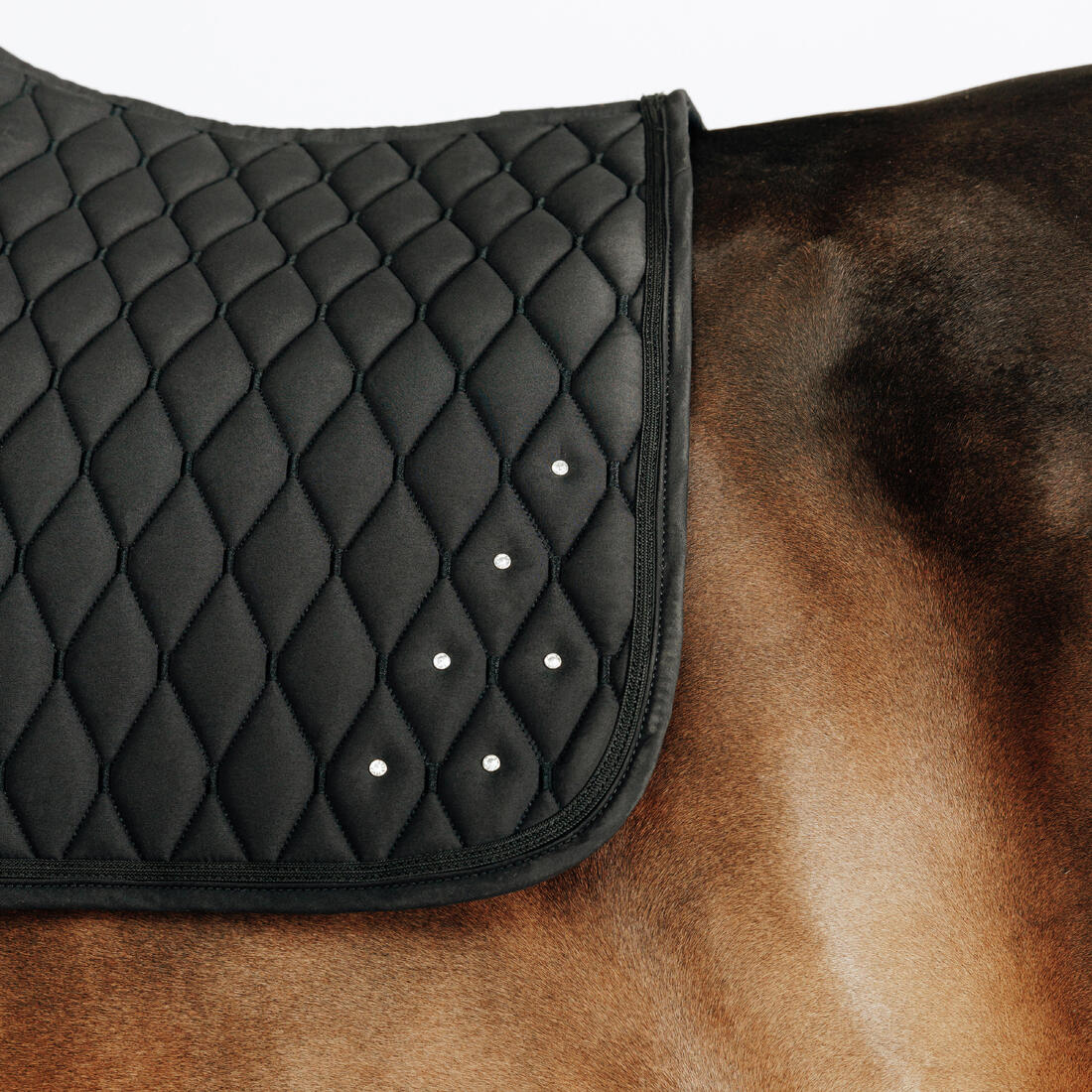 Horse Riding Rhinestone Saddle Cloth for Horse and Pony 500 - Black - Image 3