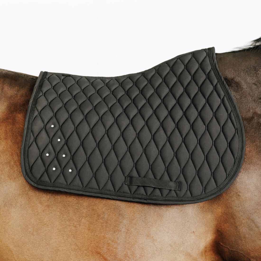 Horse Riding Rhinestone Saddle Cloth for Horse and Pony 500 - Black - Image 4