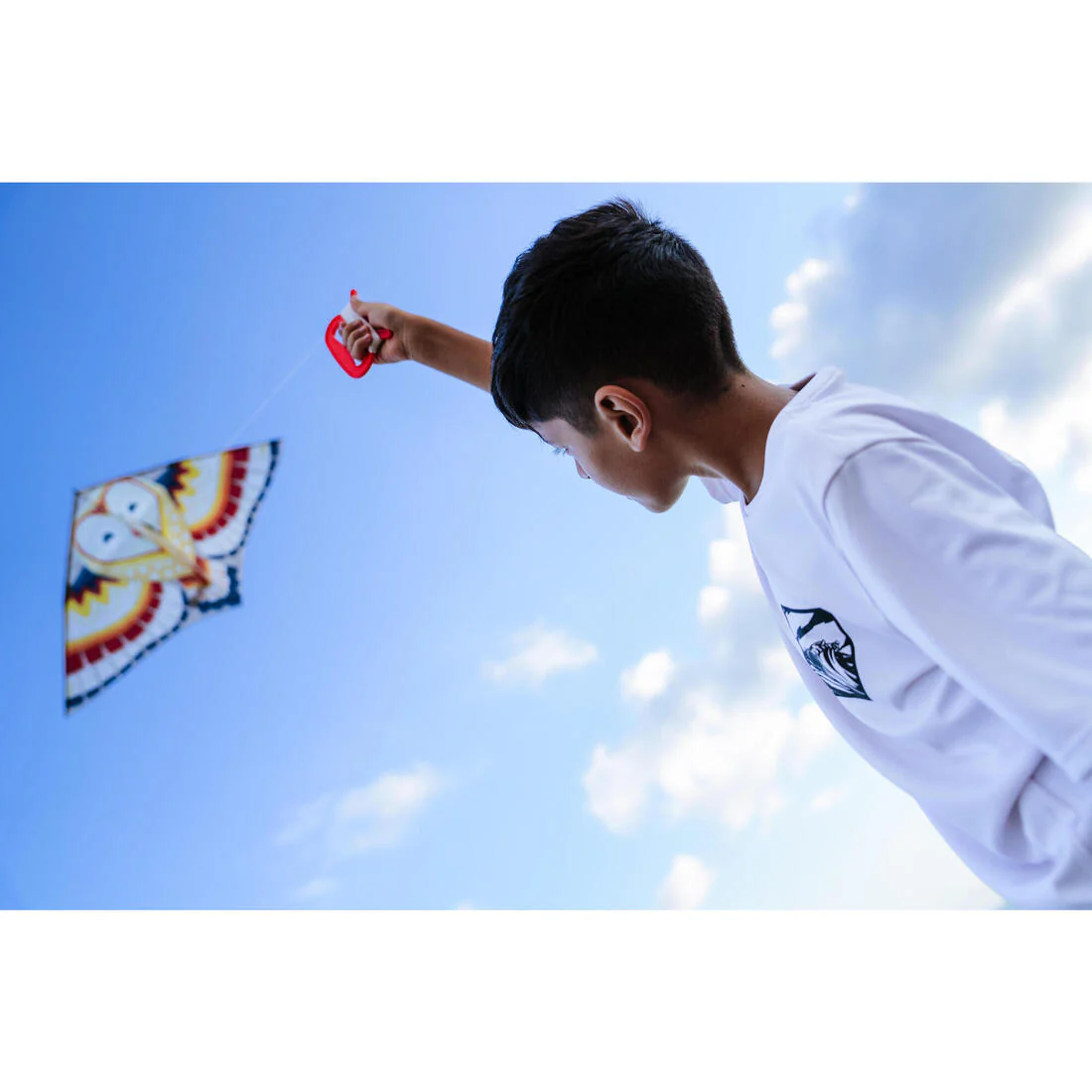 Kids’ static kite - MFK 100 Parrot - Image 3