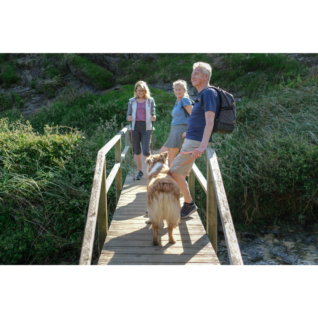 Men's Hiking T-shirt NH500 - Image 38