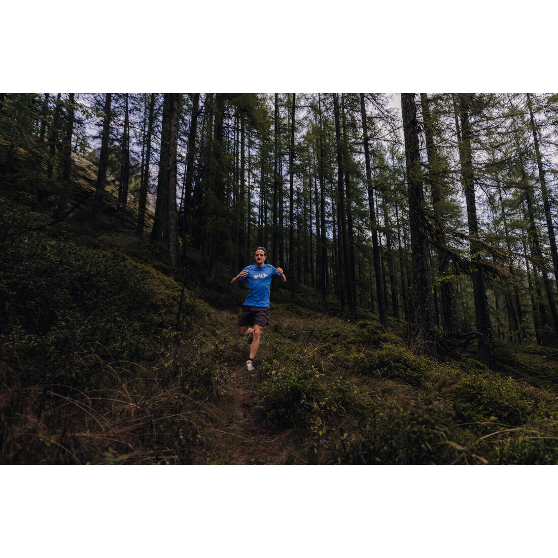 MEN'S TRAIL RUNNING SHORT-SLEEVED T-SHIRT - GRAPH/AQUA - Image 18